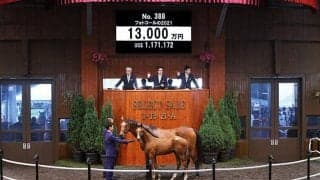 【セレクトセール2021】モーリス産駒が1億3000万円で落札　フォトコールの2021
