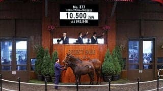 【セレクトセール2021】ショウナン国本氏、1億500万円でドゥラメンテ産駒を落札