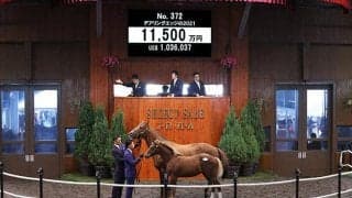 【セレクトセール2021】無敗3冠牝馬デアリングタクトと同血　デアリングエッジの2021が1億1500万円で落札