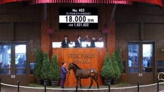 【セレクトセール2021】レイデオロ産駒が1億8000万円