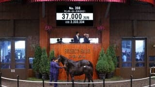 【セレクトセール2021】ロードカナロア産駒が3億7000万円