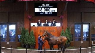 【セレクトセール2021】藤田晋氏がサトノダイヤモンド産駒を1億8000万円で落札