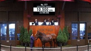 【セレクトセール2021】ドゥラメンテ産駒を「ショウナン」国本氏が1億超で落札