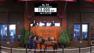【セレクトセール2021】サトノダイヤモンド産駒が1億円超