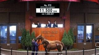 【セレクトセール2021】エピファネイア産駒が1億1500万円で落札