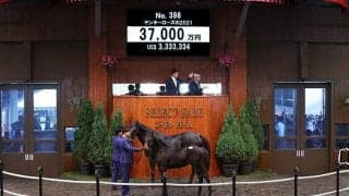 【セレクトセール2021】ロードカナロア産駒に3億7000万円　母は豪チャンピオン牝馬