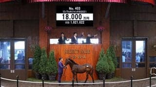 【セレクトセール2021】ショウナン国本氏、レイデオロの初年度産駒を1億8000万円で落札