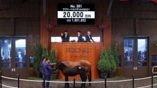 【セレクトセール2021】当歳セッションでもサイバー旋風！ 藤田晋氏がハーツクライ産駒を2億円で落札