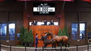 【セレクトセール2021】ピクシーナイト半弟が1億円