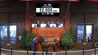 【セレクトセール2021】エピファネイア産駒が2億円超
