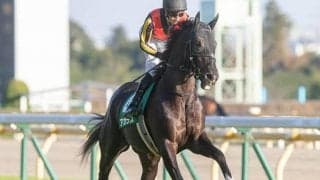 【先週のJRA抹消馬】アイビスSD2着カッパツハッチ、東スポ杯2歳S2着アガラスなど