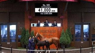 【セレクトセール2021】セレクトセール史上7位の4億1000万円で落札　半兄ヴェロックスのキズナ産駒