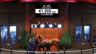 【セレクトセール2021】キズナ産駒が4億円超えを記録