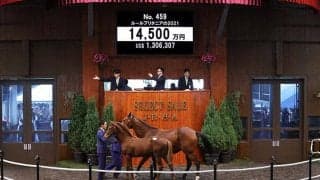 【セレクトセール2021】新種牡馬レイデオロ産駒が1億4500万円で落札！  おばに15年2冠牝馬ミッキークイーン