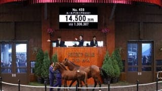 【セレクトセール2021】レイデオロ産駒が1億4500万円で落札