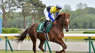 【中京記念予想オッズ】ボッケリーニが予想1番人気も上位は混戦