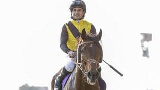 【函館記念予想オッズ】芝初挑戦のカフェファラオが予想1番人気に