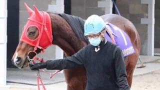 【マーキュリーC】サルサディオーネ、リンノレジェンドら回避　メイショウオオゼキが繰上