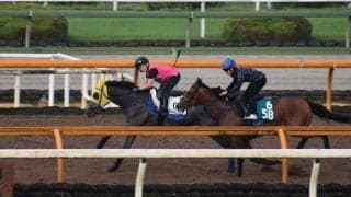 シャムロックヒル、クイーンS2週前追い切り速報/栗東トレセンニュース