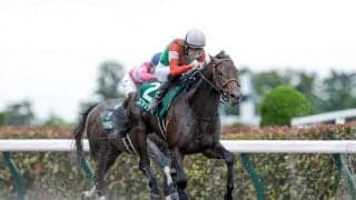 【大井・JDD】スマッシャー吉岡師「折り合いもつくので距離はこなせると思います」/ねぇさんのトレセン密着