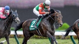 【JDD・馬体重】スマッシャーは466kg(-2)、ゴッドセレクションは529kg(+1)