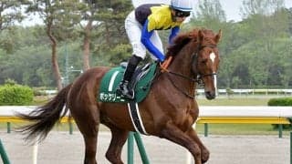 【AI予想】例年5〜6番人気の馬が優秀な中京記念でAIが指名した1頭は…？　