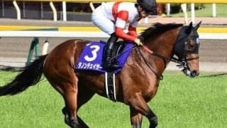 【中京記念展望】今年は小倉開催、あの馬の巻き返しを期待したい