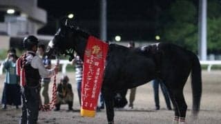 【JDD】売上レコードを更新！ 売得金23億超え