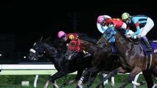 【大井・JDD】12番人気での逃走V　キャッスルトップ仲野光馬騎手「自分が無駄なことをせず、馬の力を信じて乗ることだけを考えていました」