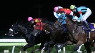 【ジャパンダートダービー回顧】4連勝で大金星キャッスルトップ/斎藤修