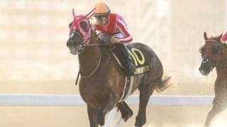 【盛岡・マーキュリーC出走予定馬】マスターフェンサー、ヒストリーメイカーら