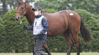 初日だけで1億円超の落札馬が28頭も！ 総売り上げは史上最高額になったセレクトセール
