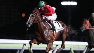 【地方競馬】“大井の帝王”的場文男騎手にまた新たな勲章！ 「本当に感謝の気持ちでいっぱい」