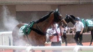 【中京記念出走馬・騎手確定】アンドラステ＆川田将雅、ボッケリーニ＆浜中俊など12頭