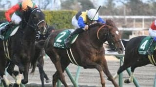 【中京記念枠順確定】ボッケリーニは7枠9番、カテドラルは6枠8番