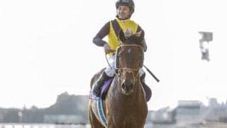 【函館記念枠順確定】カフェファラオは1枠1番、マイネルウィルトスは5枠10番