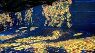 鷹が「E・ZO」で夏満喫イベント＆グルメを実施　「チームラボ」などが夏仕様に