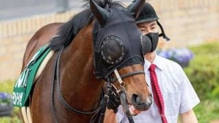 【アイビスSD想定】モントライゼは川田将雅騎手、ライオンボスは鮫島克駿騎手