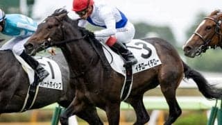 【函館2歳S予想】イチローイチローなど4頭がハマった消去条件 ポイントはマイネル系？/JRAレース展望