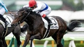 【本日の注目ポイント】2歳世代初のJRA重賞・函館2歳S、福島でリステッドのジュライSなど