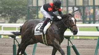 【函館2歳S予想】狙い目はハイレベルなデビュー戦を勝ち上がってきた馬