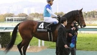 難解極める函館記念はコース適性を重視。アッと驚く穴馬の台頭も考慮すべし