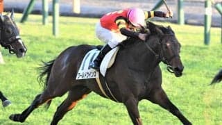 【函館記念予想】ポテンシャルはGII級！ 人気の盲点のいま狙うべき巻返し馬/JRA重賞レース展望