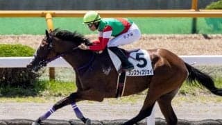 【函館5R新馬戦結果】断然人気のダンスウィズジョイが大差勝ち