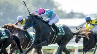 【函館2歳S結果】ナムラリコリスが差し切りV　泉谷楓真騎手がJRA重賞初制覇