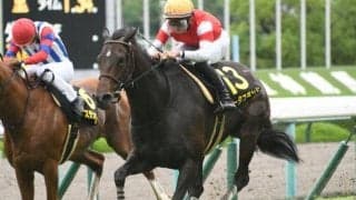 【中京記念前日オッズ】ロータスランドが4.6倍で1番人気