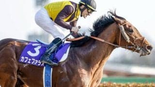 【函館記念前日オッズ】カフェファラオが4.8倍で1番人気