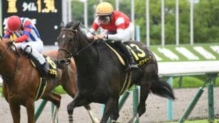 【WIN5予想】中京記念は牝馬勢の扱いに注意した方が良さそう