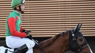 【福島1R・障害未勝利】シゲルベンガルトラが頚椎骨折で死亡、3歳時にはダートOPで活躍
