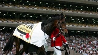 【愛オークス】ディープインパクト産駒スノーフォール、今日も8.1/2馬身差の大楽勝！/海外競馬レース結果